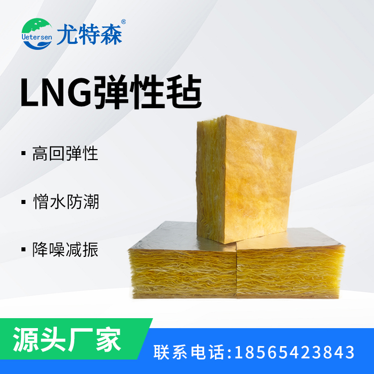1758880549691498.jpg LNG弹性毡-模板4(上海).jpg